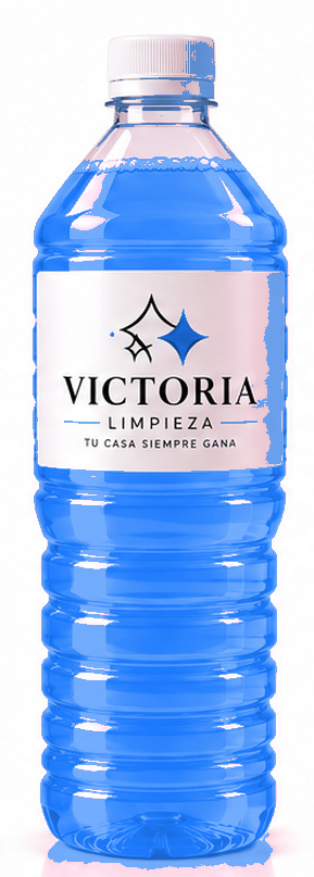 Presentación 1L